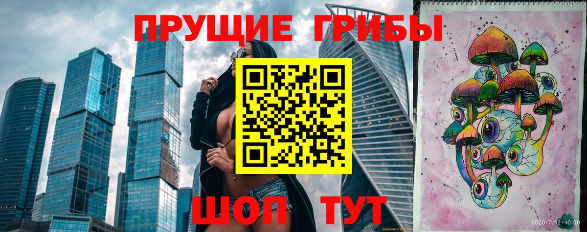 Галлюциногенные грибы Cubensis  Вход с VPN  Тосно 